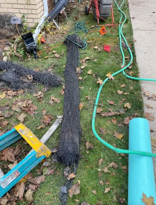 Heavy root growth removed from a sewer line during a Green Tech Plumbing job in Niles, IL. Roots can obstruct wastewater flow and contribute to recurring sewer backups.
